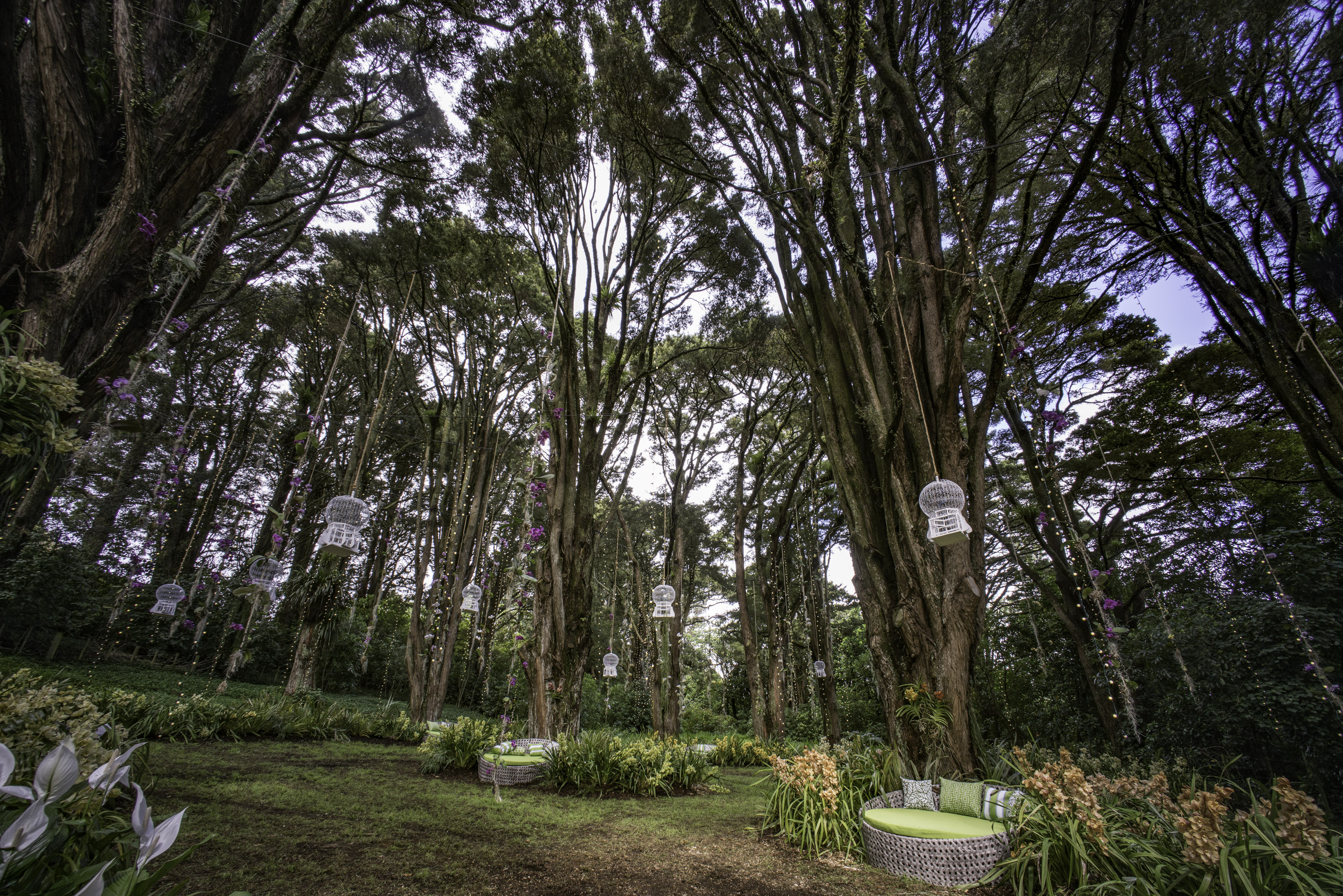 Powerco Taranaki Garden Spectacular 4